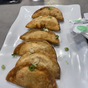 Fried Fried Chicken Dumplings