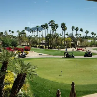 Patio view.
