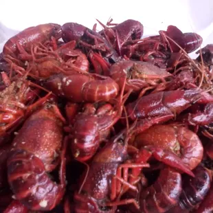 Crawfish