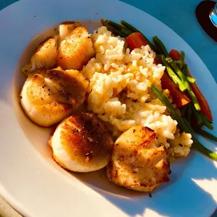 Fantastic scallops. The best!