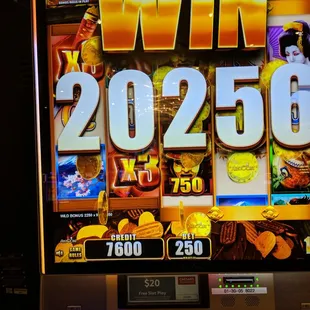 Wild Wild Samurai during bonus