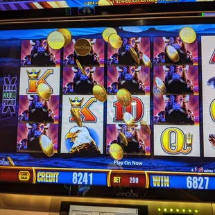 Wonder 4 during Buffalo Deluxe Bonus