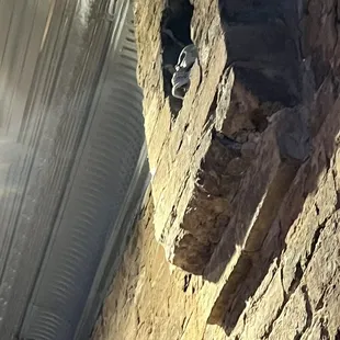 Skull above our table