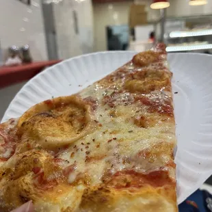 $2.50 plain slice