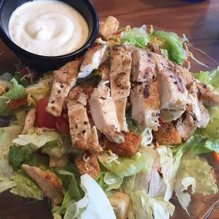 Grilled chicken salad