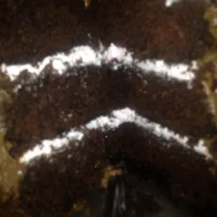 Homemade Ding dong Cake