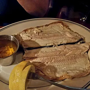 Rainbow Trout