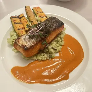 Salmon