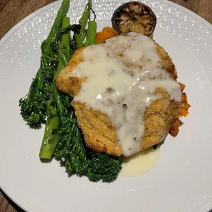 Black Florida Grouper