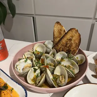 food, oysters, mussels, shellfish, oysters and mussels