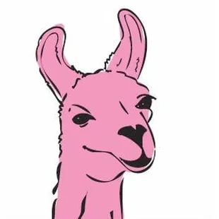 Hello!  I am THE pink llama, Balboa!