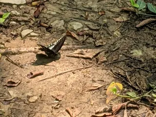 Tom Dorman State Nature Preserve