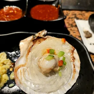 a scallop on the half shell