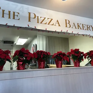 All ready for the holidays!