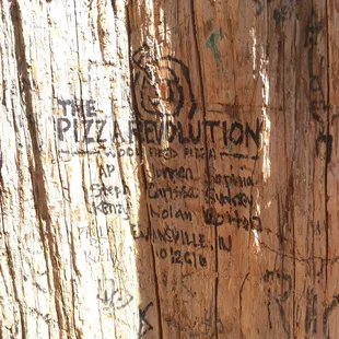 Vandalizing trees in the great smoke mountains is not cool.