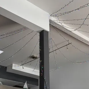 fun lights
