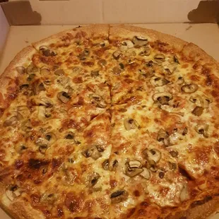 Mushroom pizza
