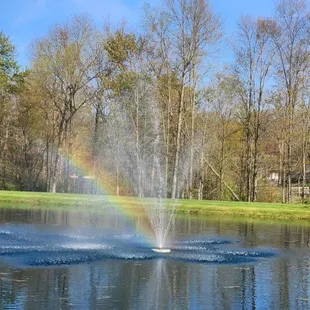 The middle of the pond