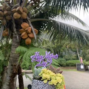 The Plant Place