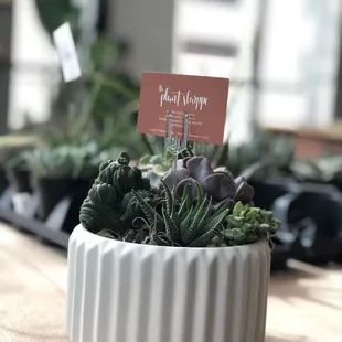 All the feels for their new space. April 2019.