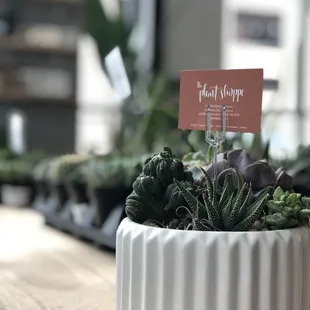 All the feels for their new space. April 2019.