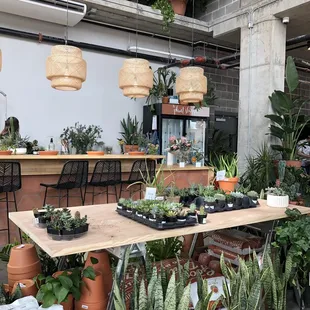 All the feels for their new space. April 2019.