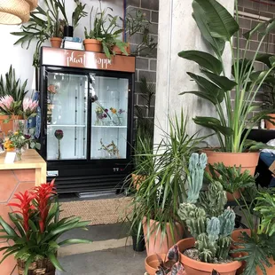 All the feels for their new space. April 2019.