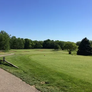 #17 par 3