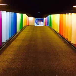 Awesome technicolor hallway in one of the bldgs