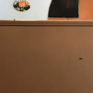 Flies and more flies
