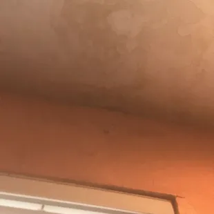 mildew/mold