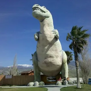 Brandon M.