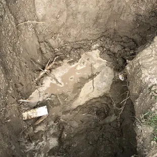 Cut the broken pipe and the root to stop from breaking again