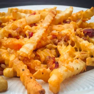 a plate of cheesy fries