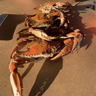 Chesapeake crabs