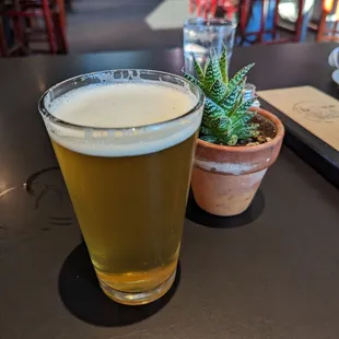 Beer! (Manhattan sucked)