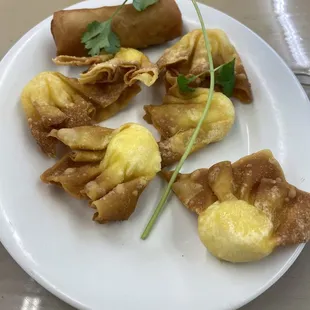a plate of dumplings with a garnish on top