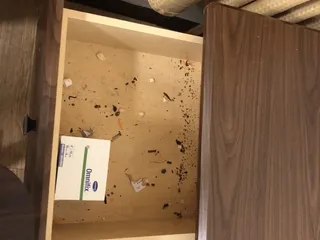 Kingston Health Center