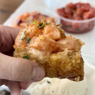 a hand holding a piece of food