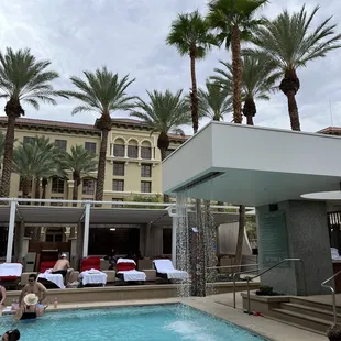 The pond pool