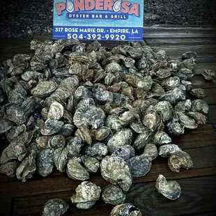 a pile of oysters