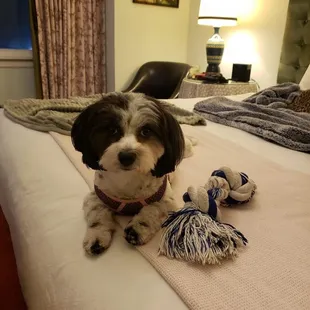Our Myndee girl enjoying her trip!