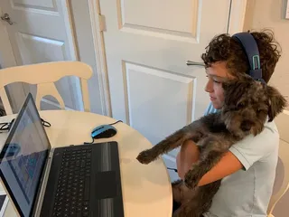 Fancy Paws Boutique & Pet Styling