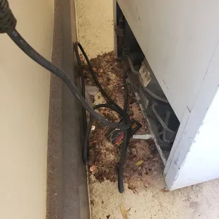just moved the refrigerator over some old food and drink.