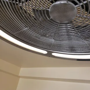 about of inch of dust hanging from fan