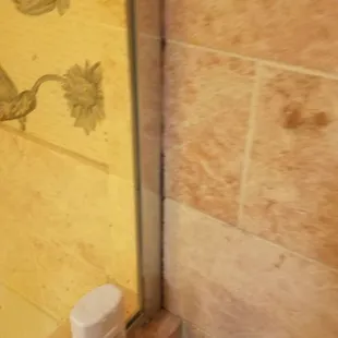 Mold in bathroom