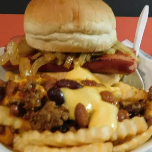 Quarter Pound Hot Dog with grilled onions and Chili Cheese Fries