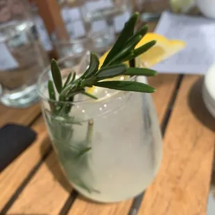 a glass of water with a sprig of rosemary