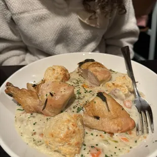 Chicken dumplings