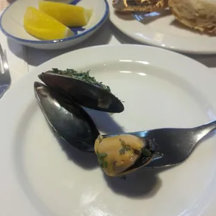 Mussel